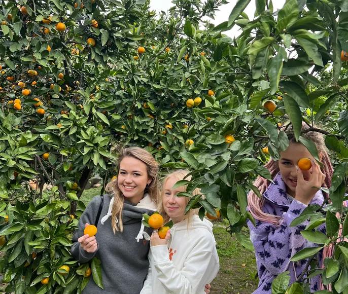 Тур по лучшим местам Сочи и Абхазии