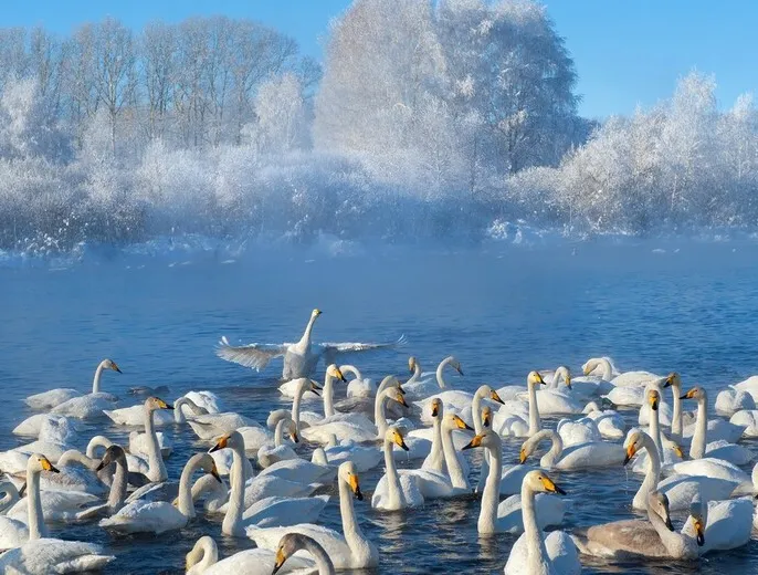 Зимний Алтай