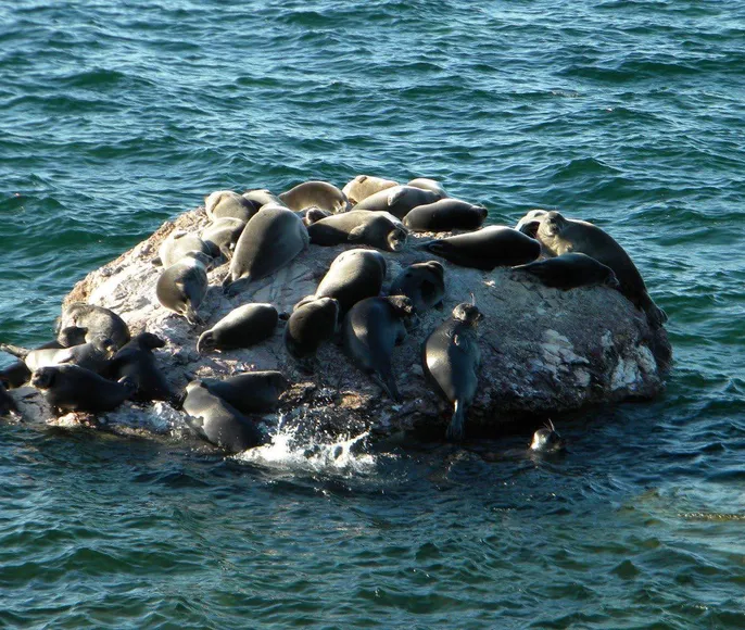 Круиз Сердце Байкала — 10 дней впечатлений