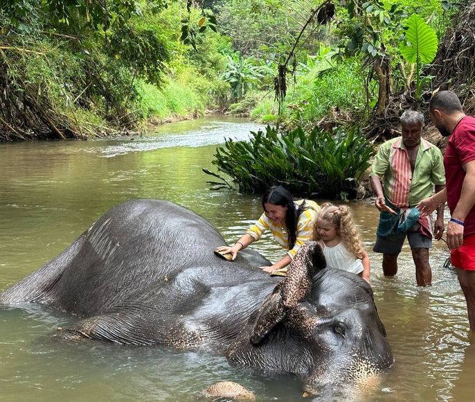 Сокровища Шри-Ланки (2-х дневная экскурсия)