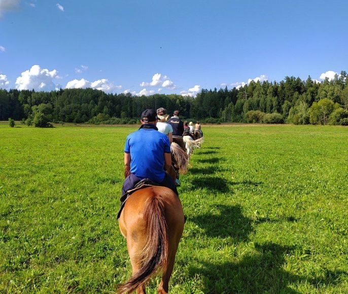 Конный тур + музей архитектуры и быта + обед в таверне