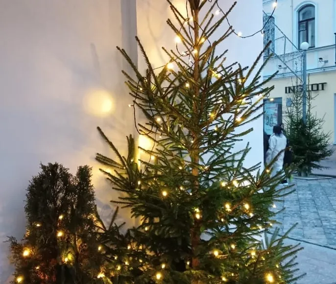 В Беларусь к мистеру Дарси: Новый год в Святском дворце