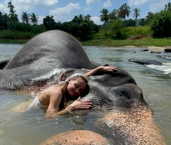 25+ локаций за 12 дней: начни Новый год ярко и насыщенно!