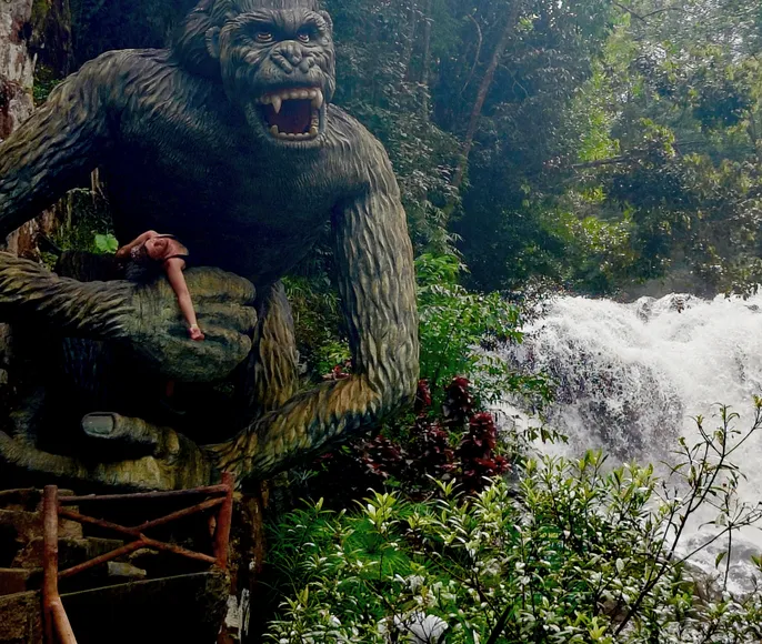 Вьетнам. Новый год