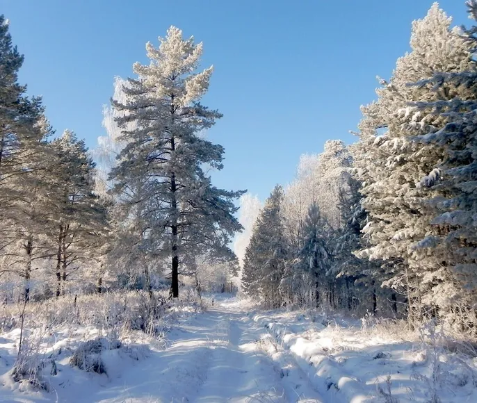 Весенний Сплав + Поход по реке Илеть с проживанием в доме!