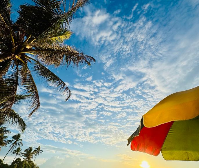 Шри-Ланка. Surf Camp для