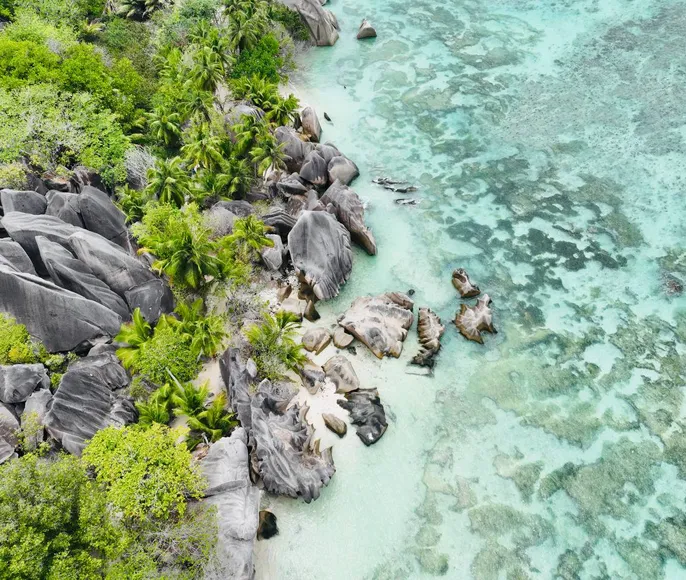 Cейшелы. Райские каникулы в январе