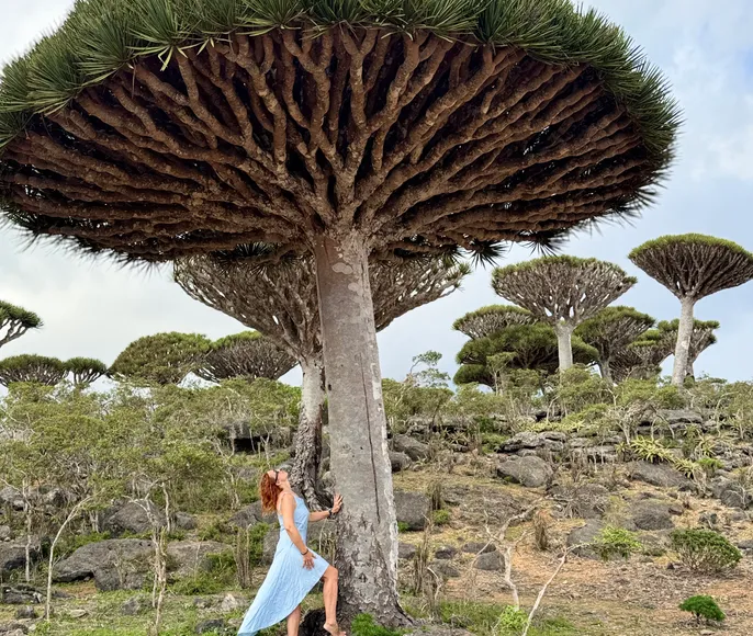 Сокотра - тур на остров блаженства