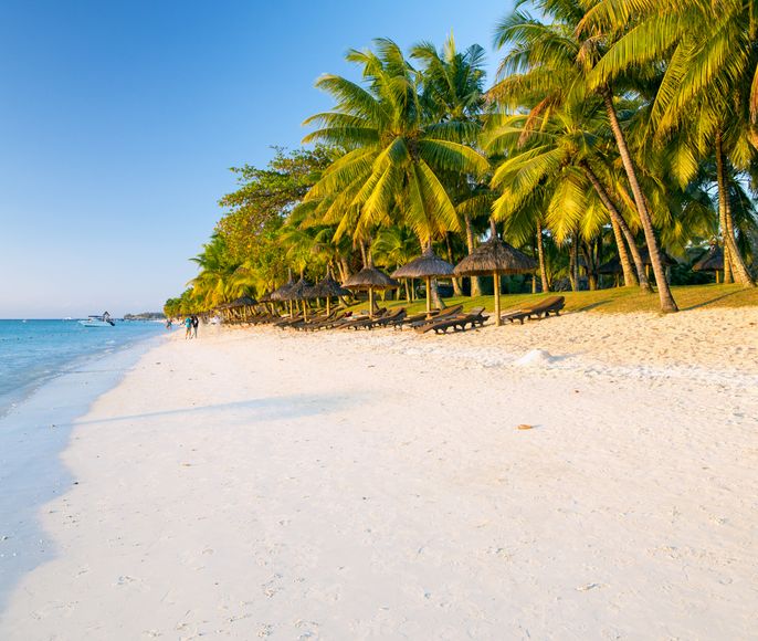 Feel the Vibes of Kenya: African Rhythm, Ocean, and Safari