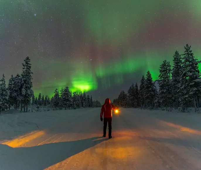 Хибины, Териберка. Полярная ночь. 3 дня.