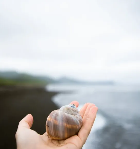 Зимний Сахалин: горнолыжка, снегоходы и голубые бухты