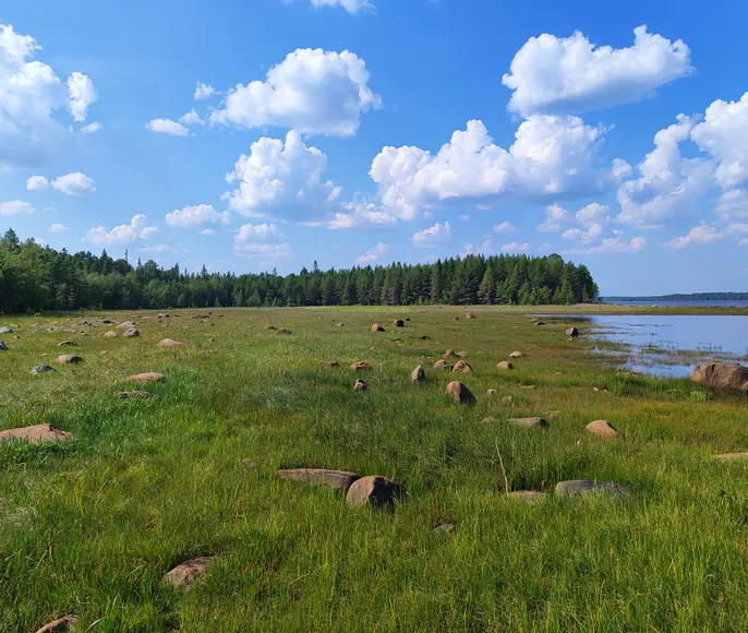 Сплав по реке Калга с выходом в Белое море