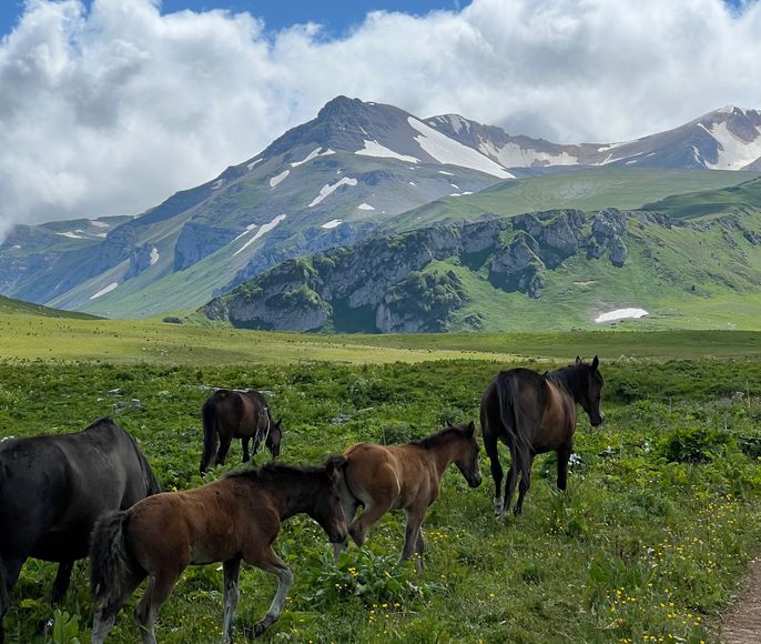 Поход 30-ка: через горы к морю