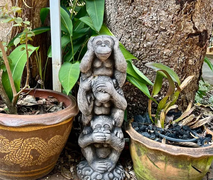 Чиангмай Sensitive. Girls only