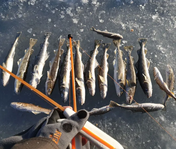 Зимняя подледная рыбалка