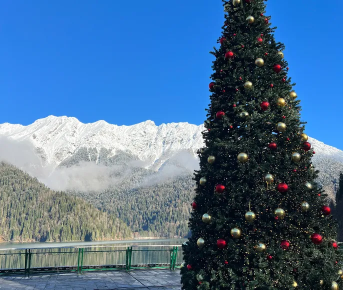 Новогодняя Абхазия. Релакс и экскурсии, тур на 4 дня
