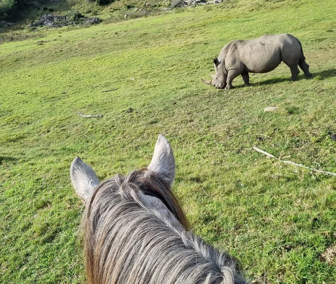 Конный Тур в Юар по Дороге Садов Индивидуальный Тур