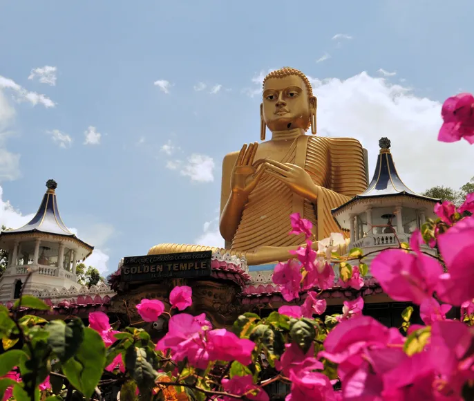 Шри-Ланка: океан, сафари и пик Адама