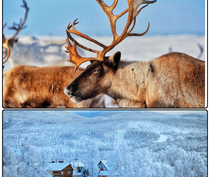Эссо. В гости к оленеводу