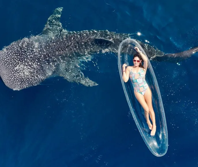 Авторский тур на острова Индонезии — Бали, Сумбава и Мойо