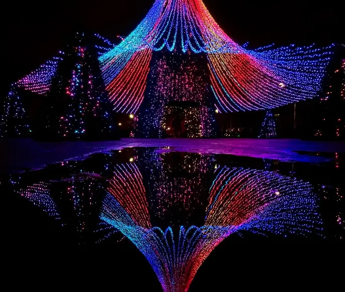 Новогодние огни Краснодара. Парк Галицкого и улица Красная