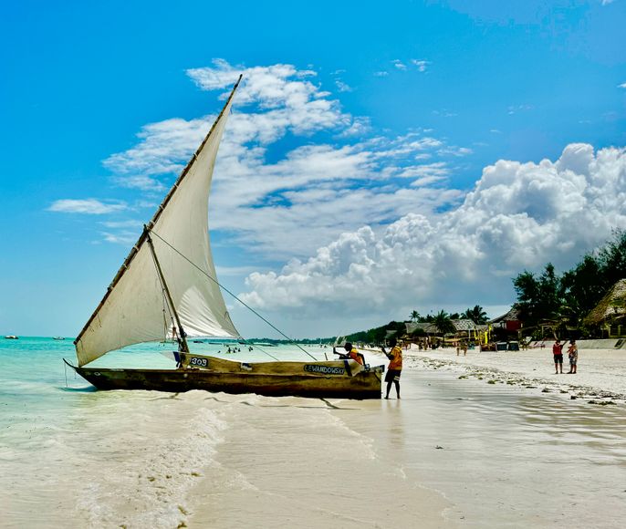 Солнечный Занзибар: Пляж и Экскурсии