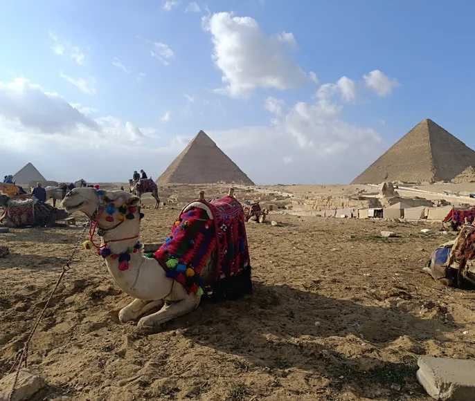 Тайны Древнего Египта: Хургада, Луксор, Каир, Александрия, Шарм-эль-Шейх