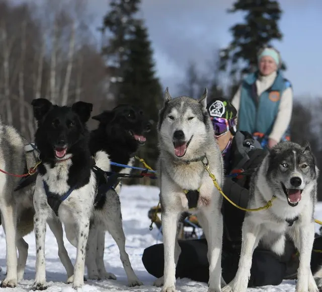 Заснеженное Плато Лаго-Наки+катание в упряжке с Хаски+термальные источники