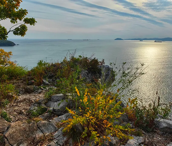 Тур 3D Находка