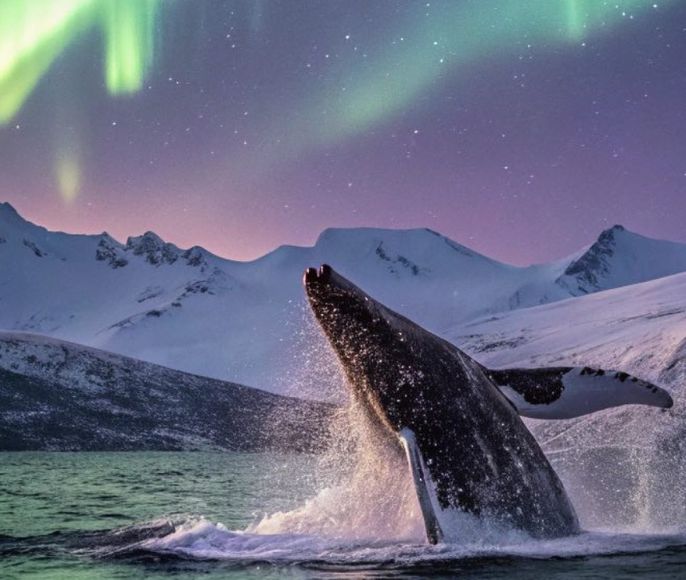 Кольский без границ - все включено!