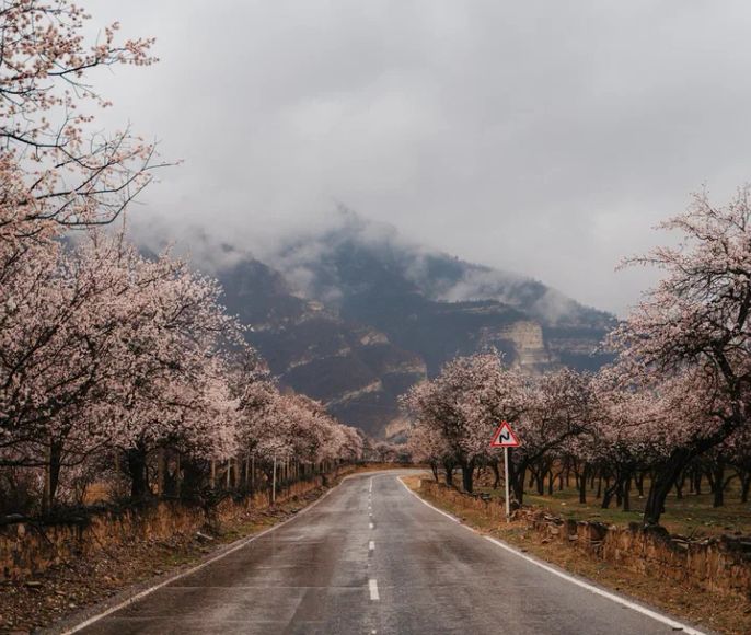 Тур-вечеринка 8 марта в Дагестане
