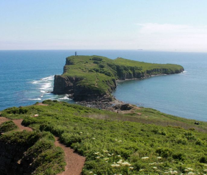 Из Владивостока — на мыс Тобизина