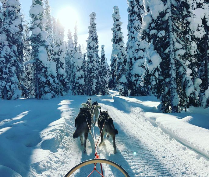 Сияние Заонежья. Рождественская Карелия
