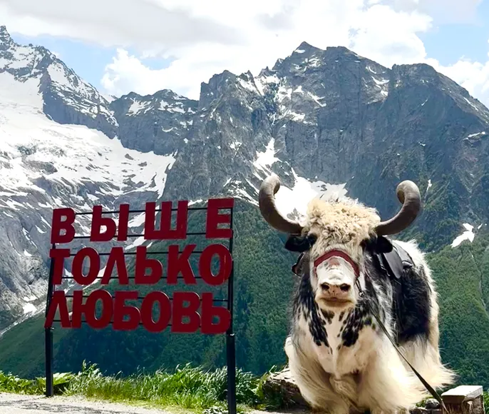 Индивидуальный тур - Это Швейцария, нет это Домбай!