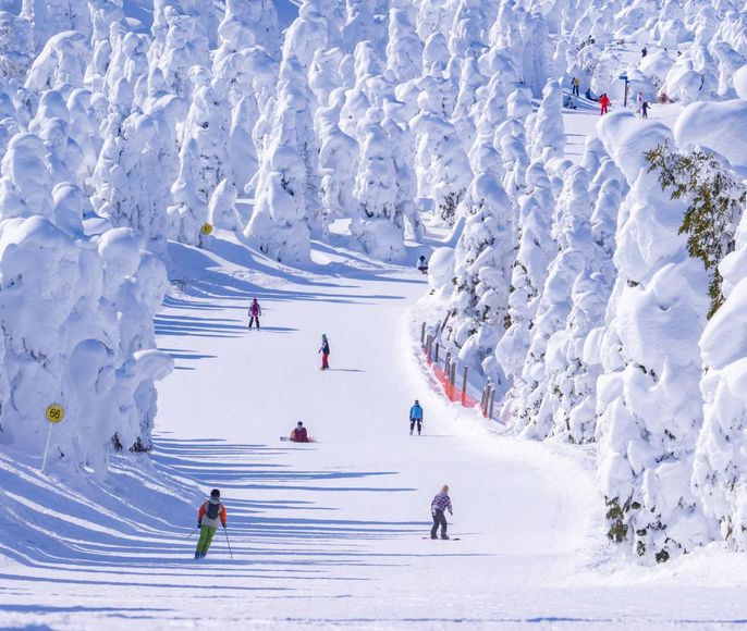 Незабываемое Путешествие в волшебную японскую сказку Снежных монстров, Горы + Токио
