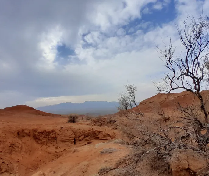 Тур: Красные горы Богутты — затерянный мир времени и красок