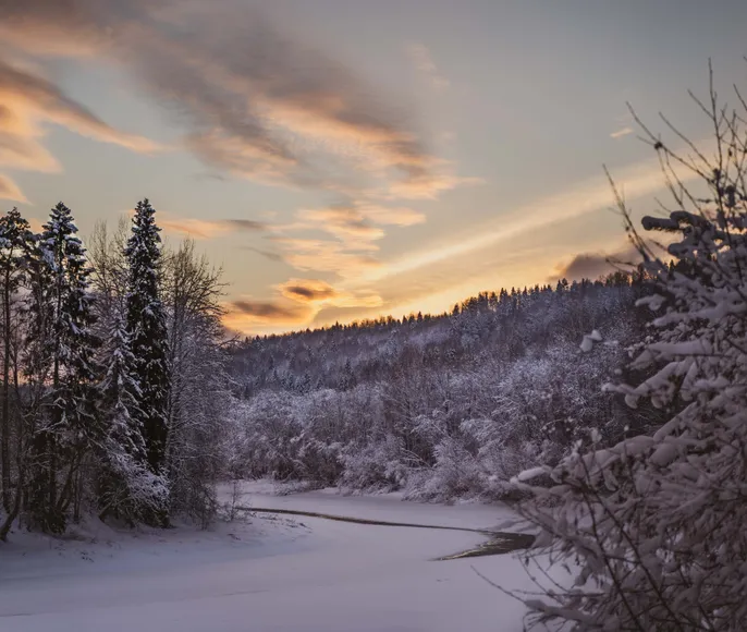 Новогодние каникулы в лесной деревне, в русской избе