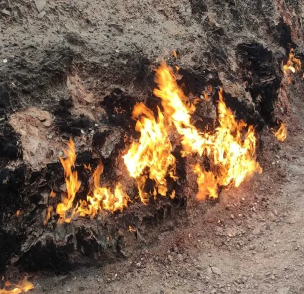 Тайны Гобустана и дыхание Апшеронского полустрова