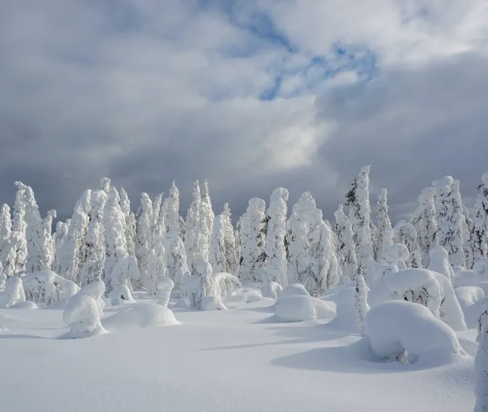 Тайны Пармы. Зимняя симфония Пермского края
