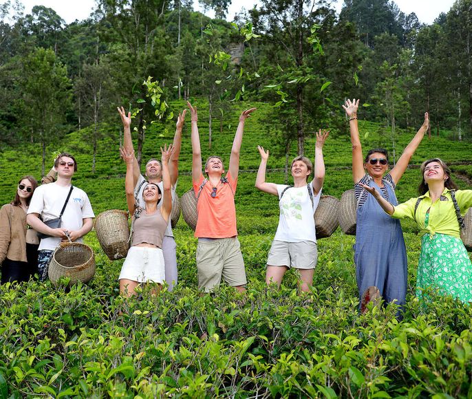 Шри-Ланка. Все грани острова за 14 дней!