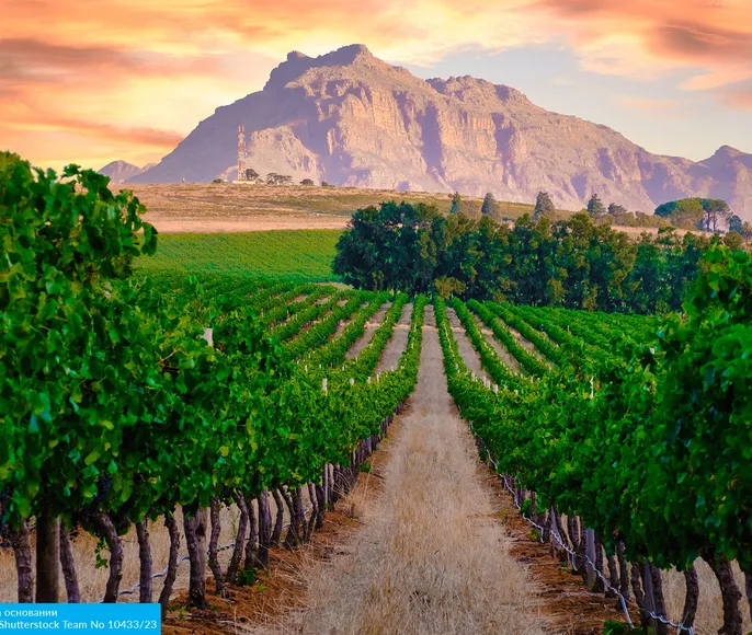 Юар: Кейптаун, 2 океана, винные долины и Африканское сафари