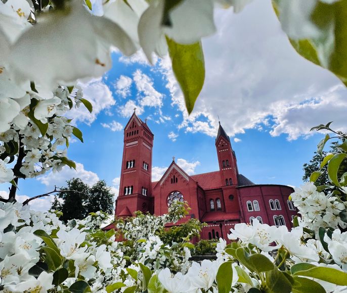 Увидеть всю Беларусь