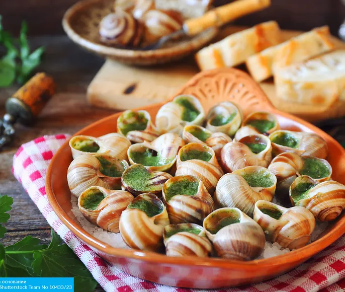 Гастрономическое путешествие из Будапешта в Париж из Москвы