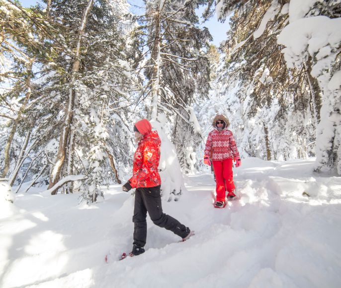 Зимняя магия гор 2025-2026