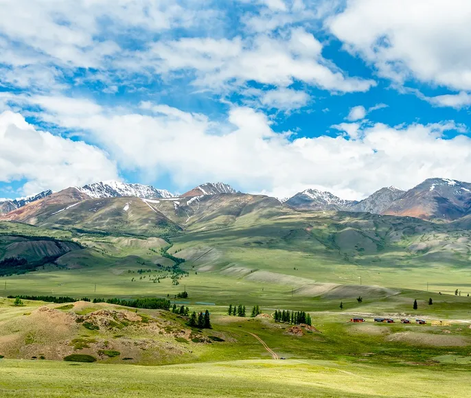 Фототур Альпийские луга Алтая