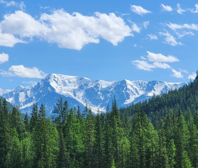 Знакомство с Алтаем. Группа до 6 человек!
