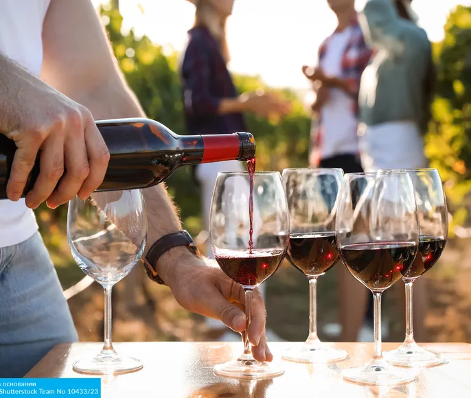 Под солнцем Мозамбика, на ветрах Кейптауна