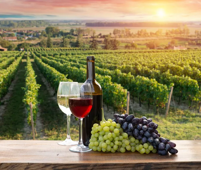 Тур Винное путешествие в Армению и Грузию  8 дней / 7 ночей