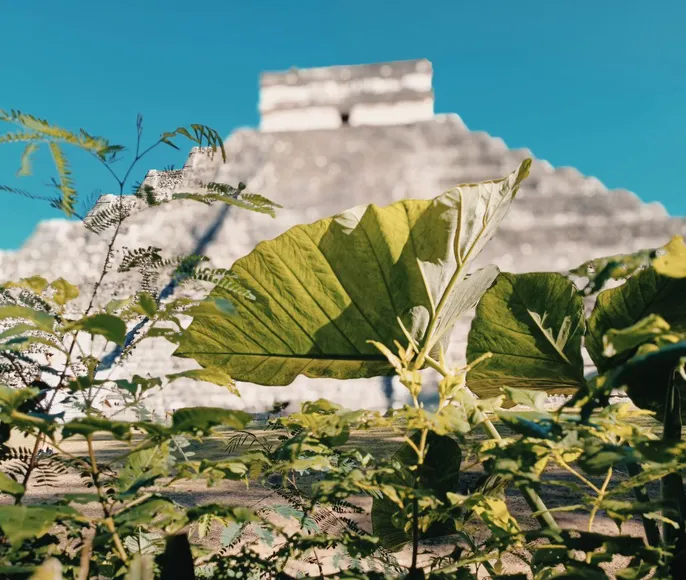 Следы Великих Культур 9 Дней/8 Ночей