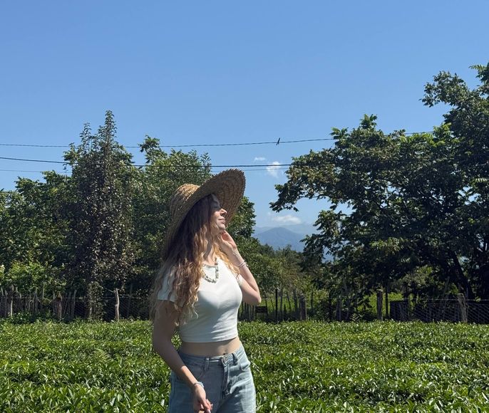 Мандариново-чайный тур из Тбилиси в Кобулети (двухдневный тур)